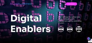 Blue Flamingo Solutions