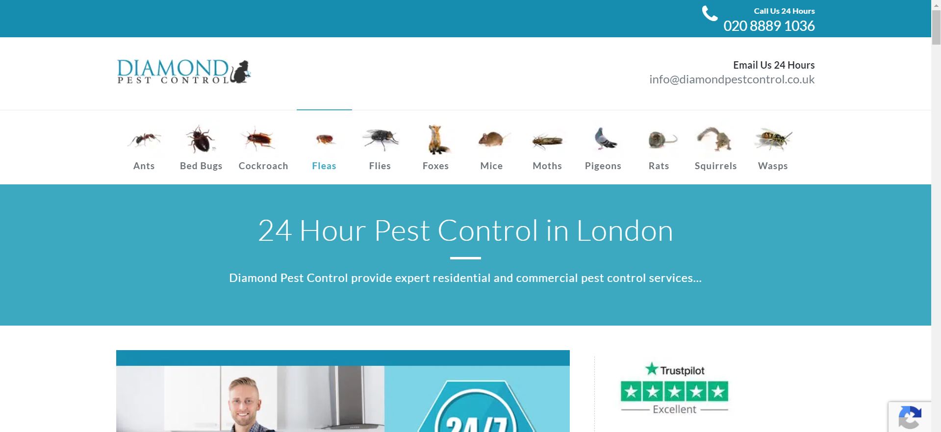 Diamond Pest Control UK