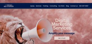 The Small Biz Expert