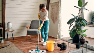 Are Local Independent Cleaners Better Than Big Cleaning Companies