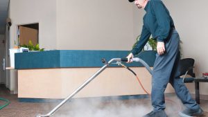 How Can You Choose the Right Carpet Cleaner for Your Needs