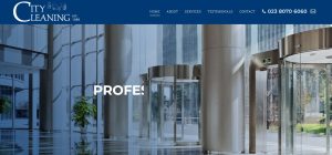 The City Cleaning Company