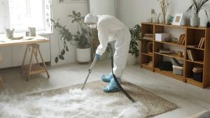 What Are the Risks of Hiring Unverified Carpet Cleaners in London
