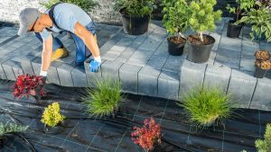Can These Landscaping Companies Handle Custom or Large-Scale Projects