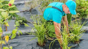 What Questions Should You Ask Before Hiring a Landscaping Company