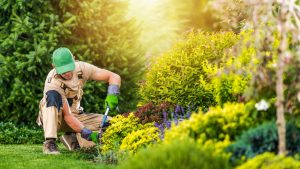 Why Is Landscaping Important for Residential and Commercial Properties