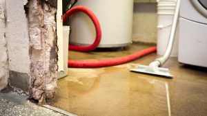 Can Water Damage Lead to Mould and Structural Instability