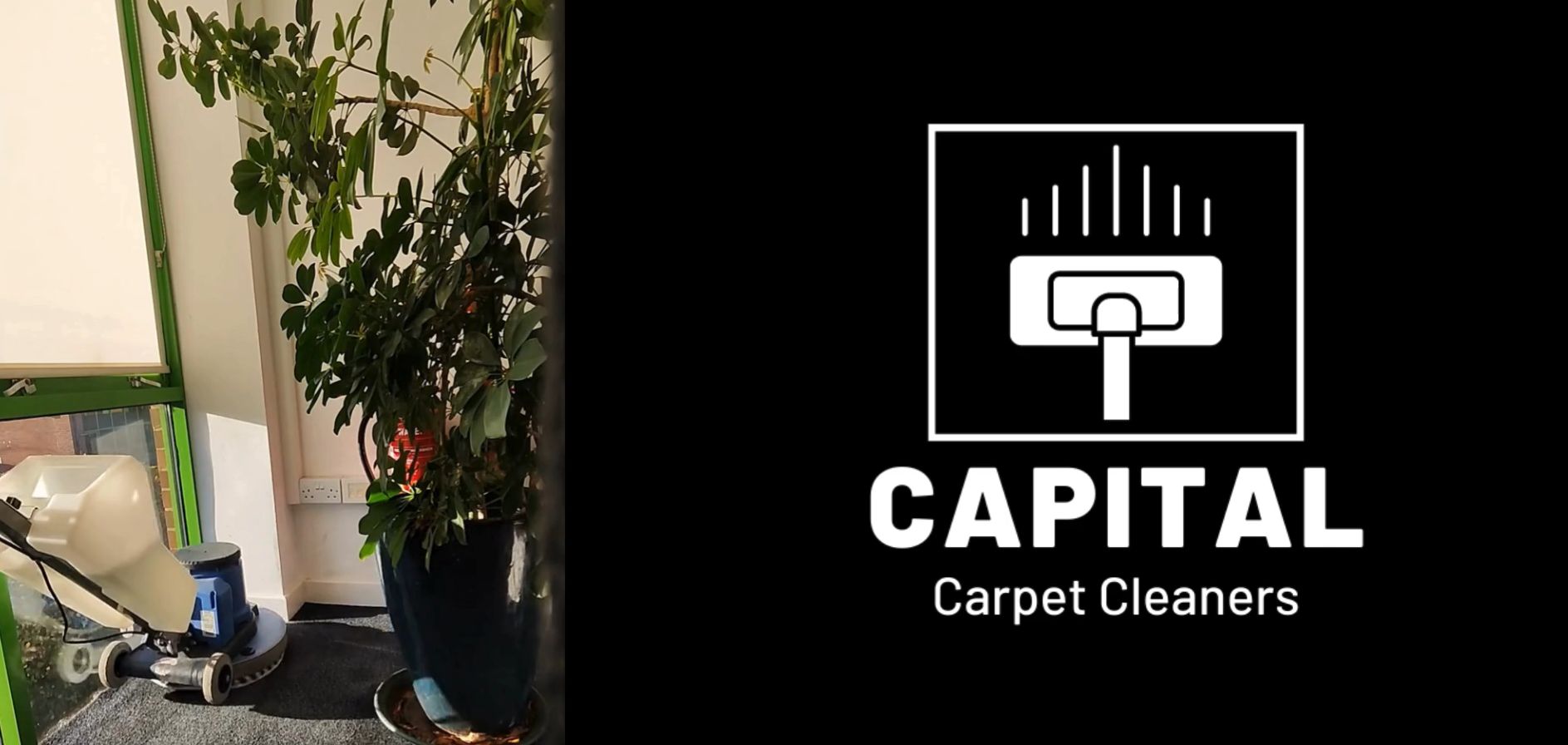 Capital Carpet Cleaners