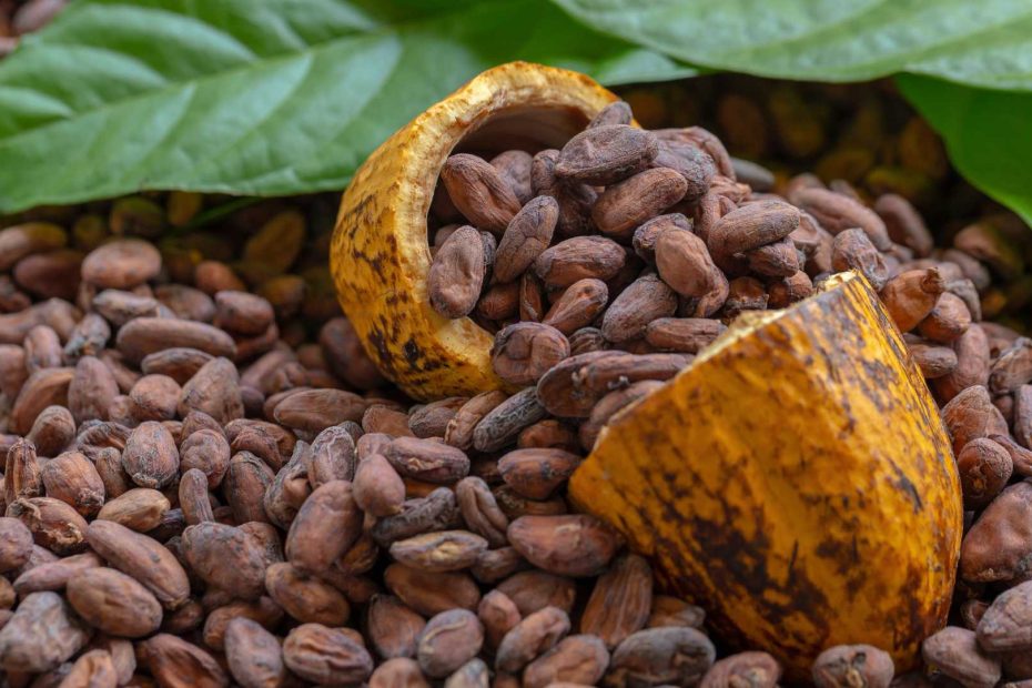 Cocoa Companies