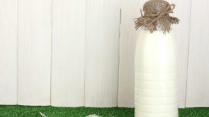 How Can Consumers Choose the Best Milk Company in London
