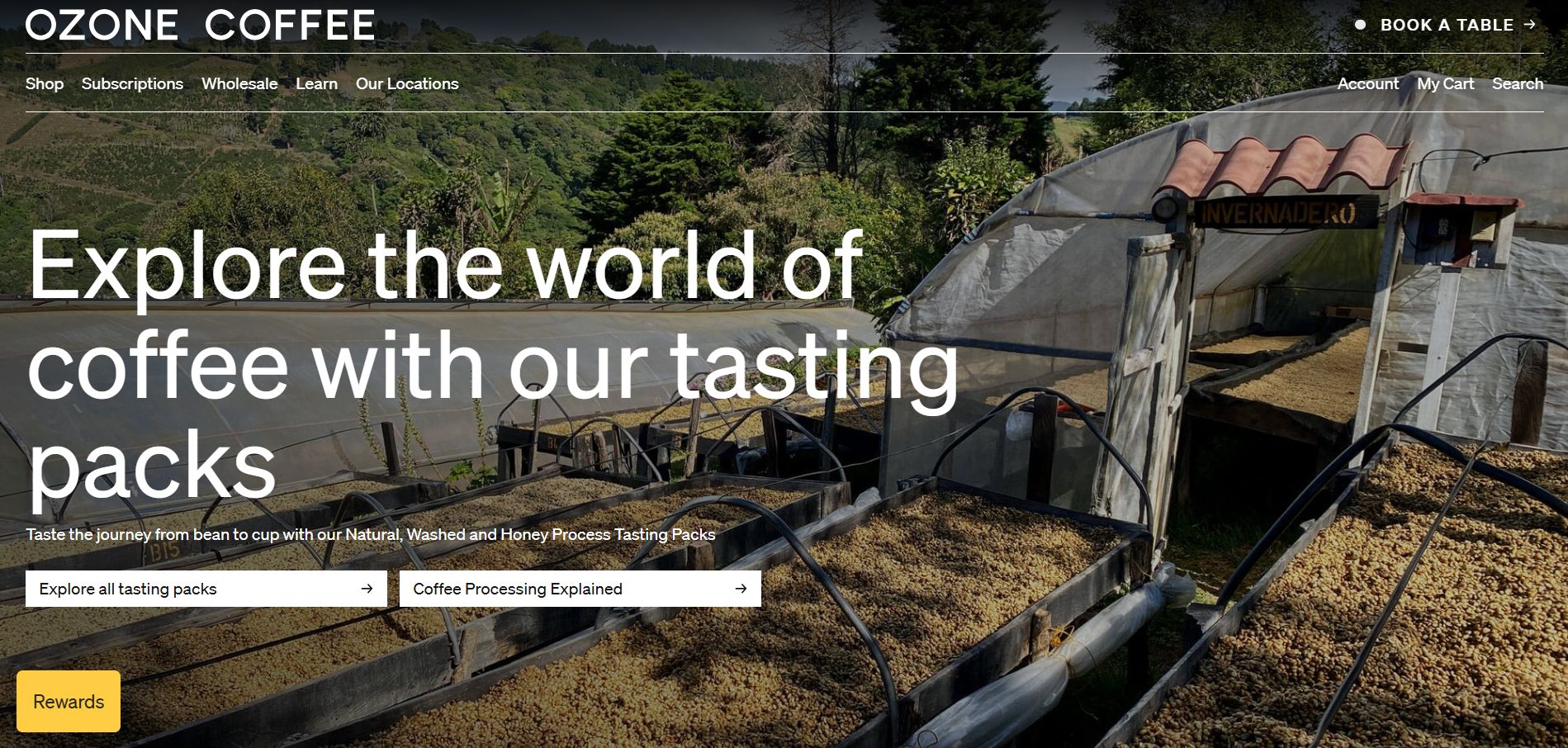 Ozone Coffee Roasters