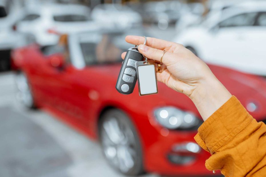 Vehicle Leasing Companies