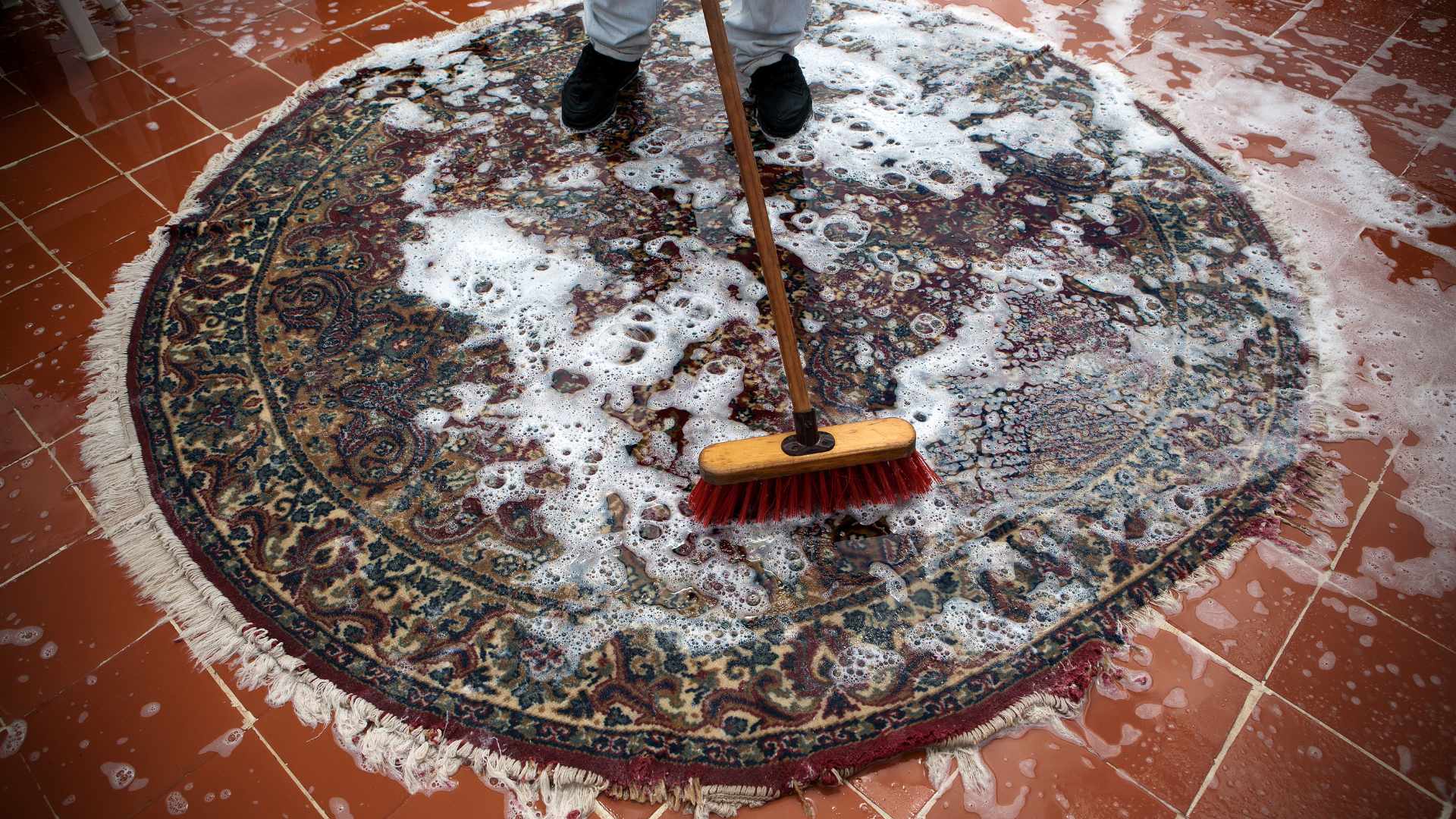 What Qualities Define a Trusted Rug Shampooing Company in London