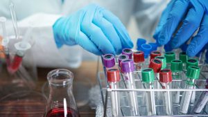 What Services Do These Genetic Testing Companies Offer