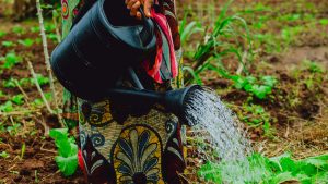 What Should You Consider Before Choosing a Business Water Supplier in London