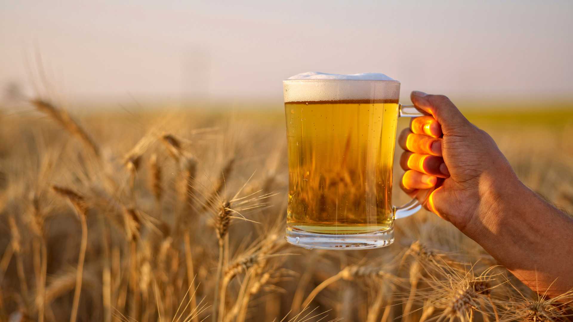 Top 10 Brewing Companies in London | Beer Industry