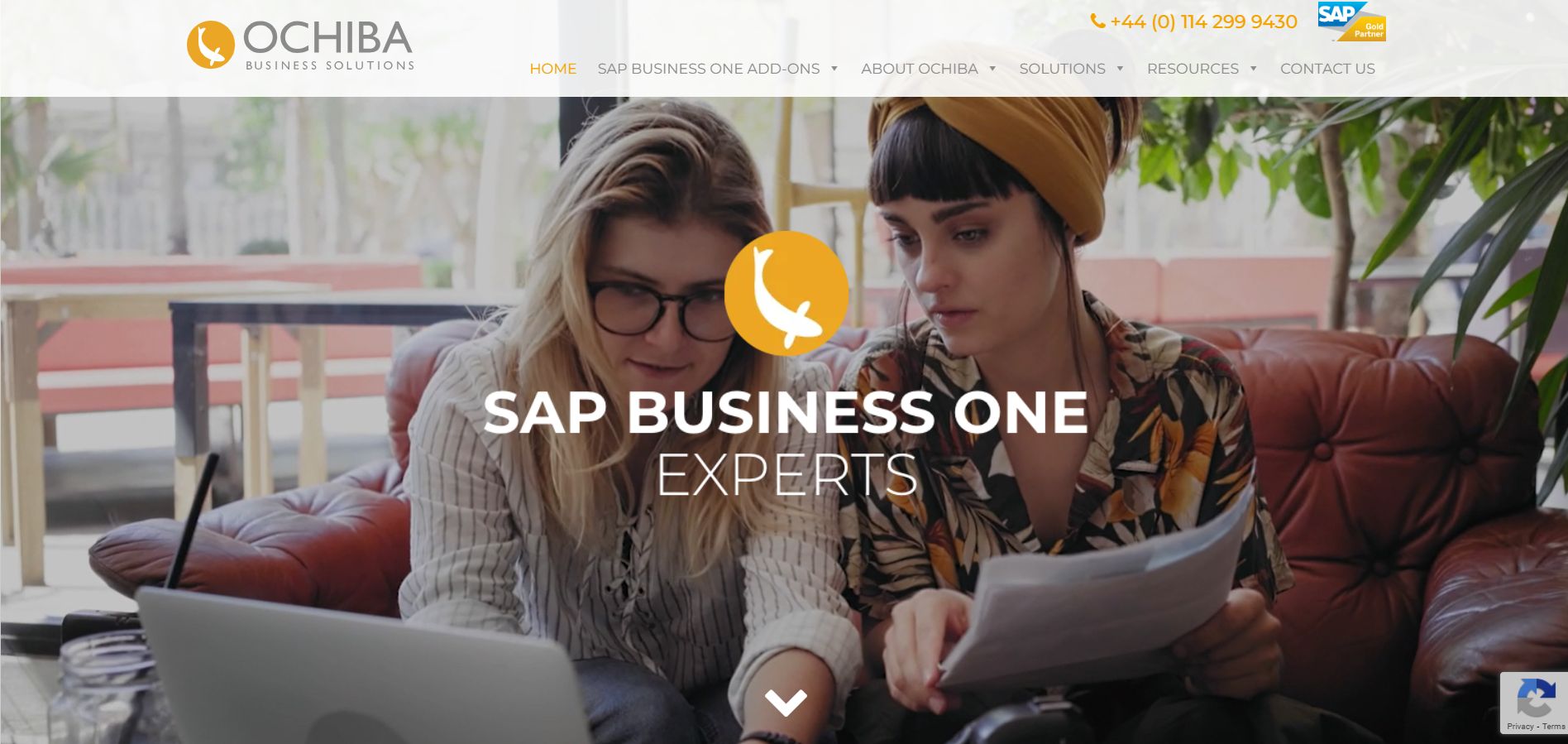 Ochiba Business Solutions