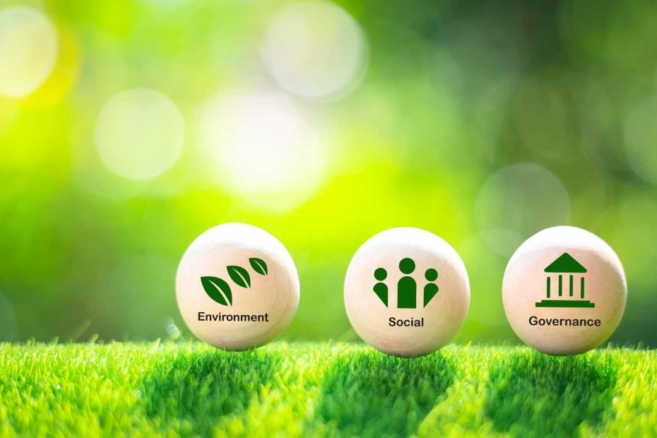 Sustainability Companies