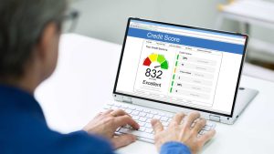 What Services Do Credit Reference Agencies Offer Beyond Credit Scores