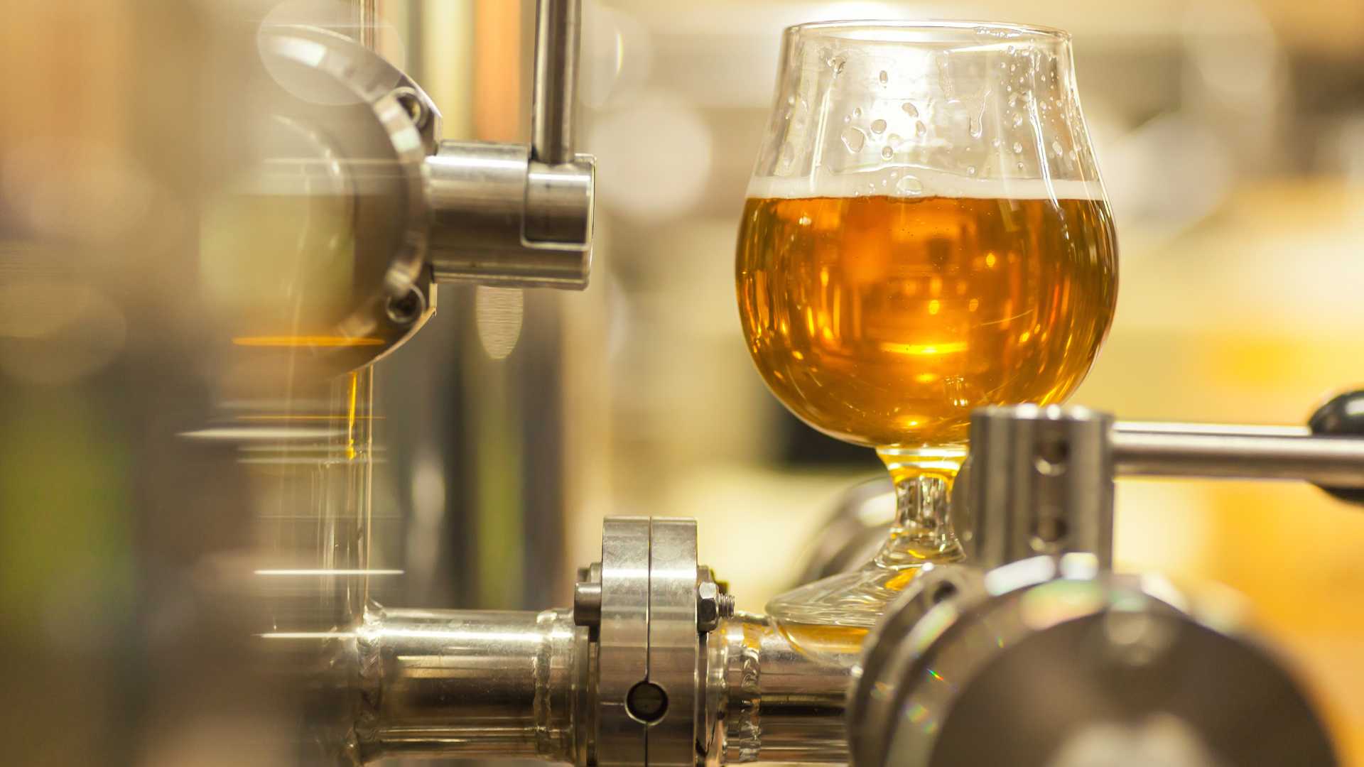 Why Are Brewery Tours a Must-Do in London