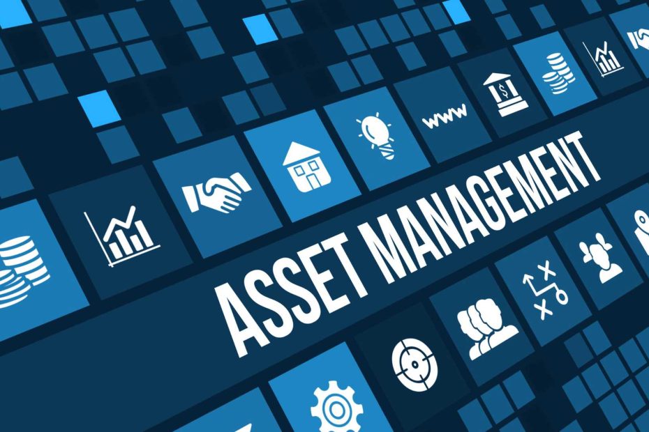 Asset Management Companies