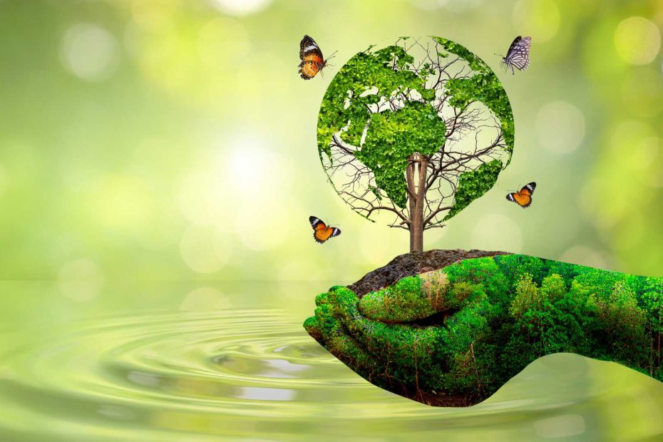 Environmental Companies