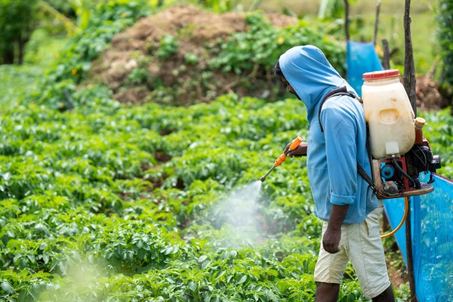 Fertilizer Companies