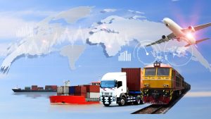 How Can You Start Working with an Import or Export Company in London