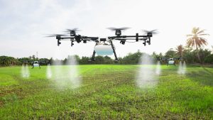 How Do Customer Reviews Influence the Top Fertilizer Companies in London