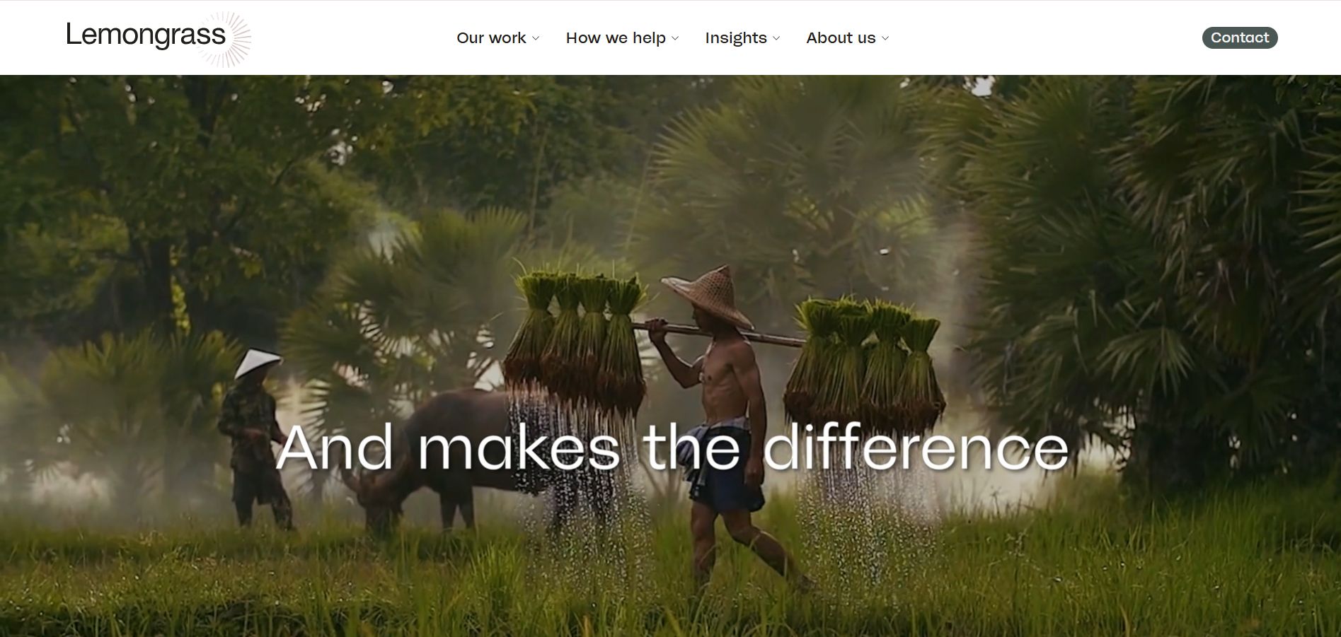 Lemongrass Marketing