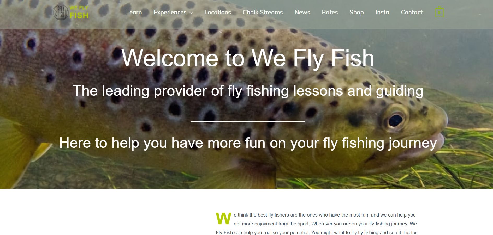 We Fly Fish