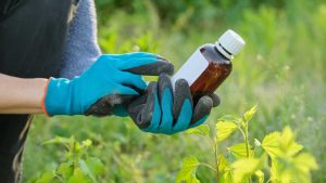 What Are the Benefits of Working With Local Fertilizer Companies in London