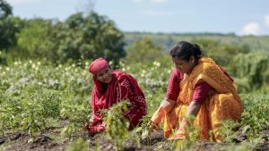 What Are the Most In-Demand Farming Services Offered in London