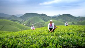 What Defines a Successful Farming Company in an Urban City Like London