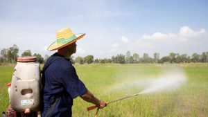 What Makes a Fertilizer Company Reliable in London