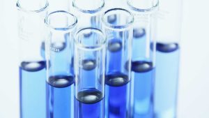 What Services Do These Genomics Companies Typically Offer