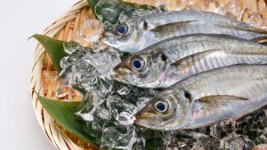 What Should You Look for When Choosing a Seafood Supplier