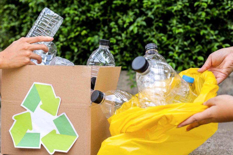 Waste Recycling Companies