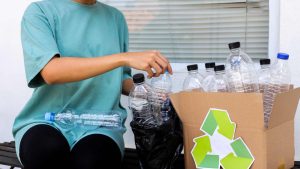 What Services Should You Expect from Leading Waste Recycling Providers