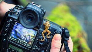 What Should You Expect to Pay for Photography Services in London