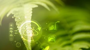 Who Are the Sustainability Experts Helping London Go Green