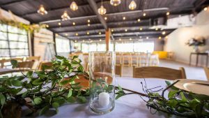 Do These Companies Offer Audio, Visual, and Lighting Packages