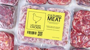 How Are Investors Fueling the Lab Grown Meat Sector in the UK