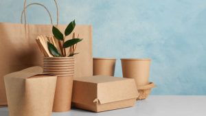 How Do Eco-Conscious Companies Operate Differently