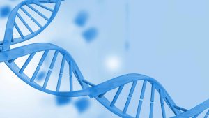 How Do These Genetics Companies Revolutionise Personalised Medicine