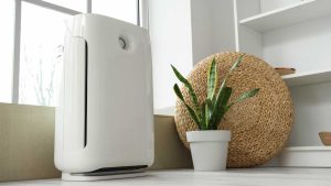 How Does Technology Shape Modern Water Filtration in the UK