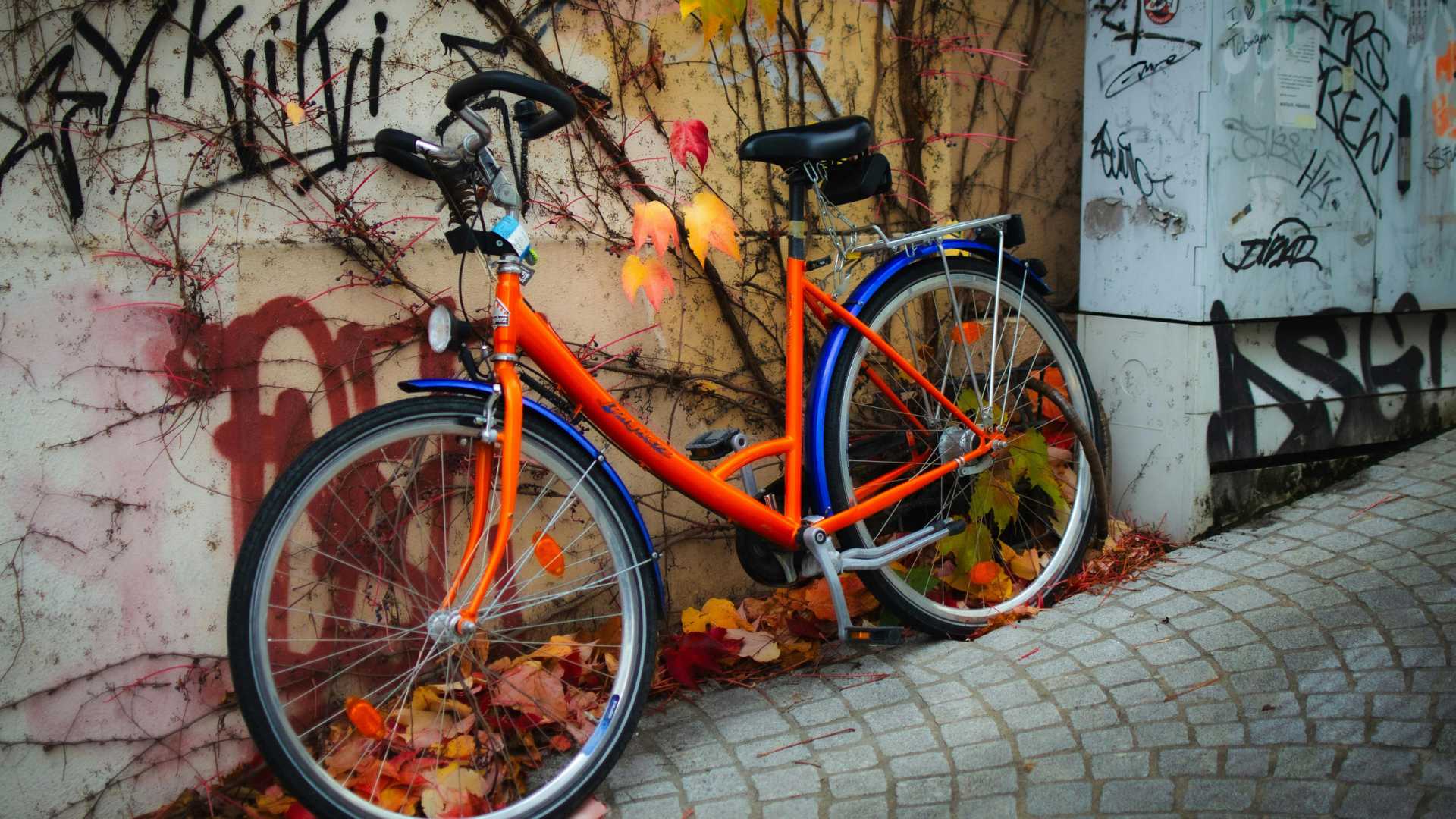 How Fast Can Graffiti Be Removed After Vandalism