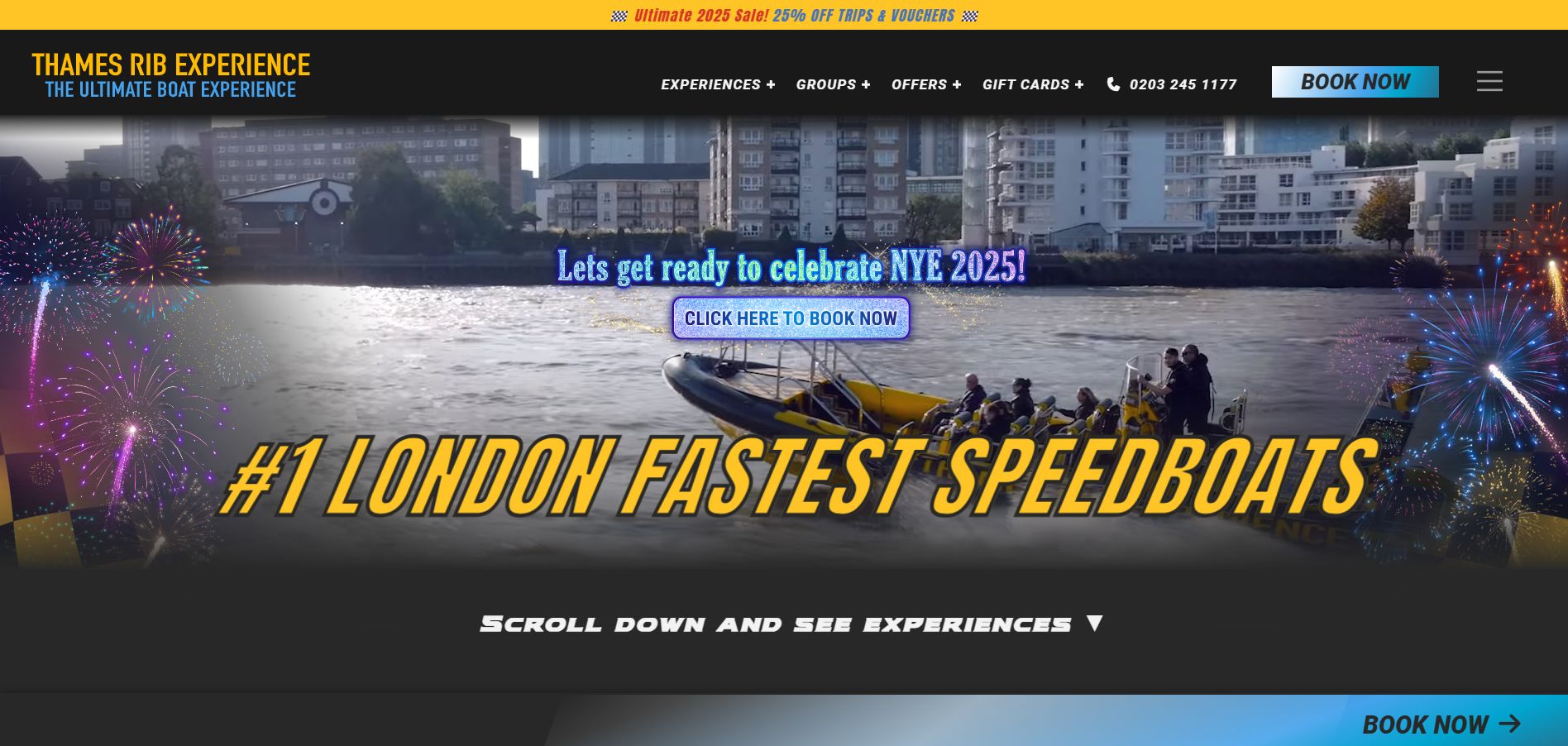 Thames RIB Experience