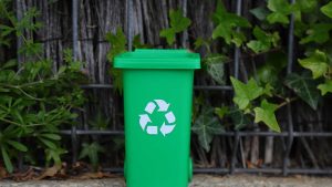 What Role Does Green Innovation Play in Business Growth