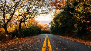 What Services Do Leading Road Marking Contractors in London Provide